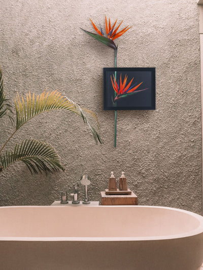 Bird Of Paradise Wall Art