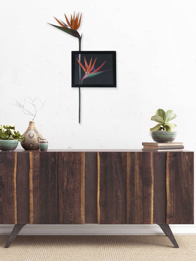 Bird Of Paradise Wall Art