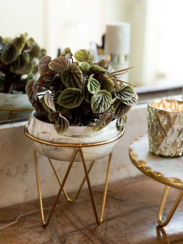 Bowl Green Planter