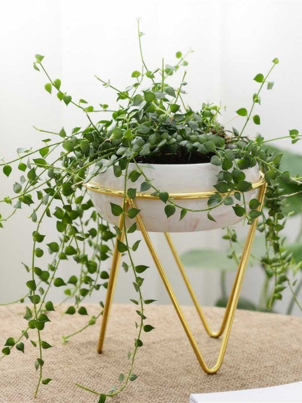 Bowl Pink Planter
