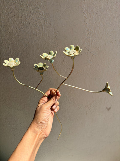 Wildflowers branched stem - 5 flower stem