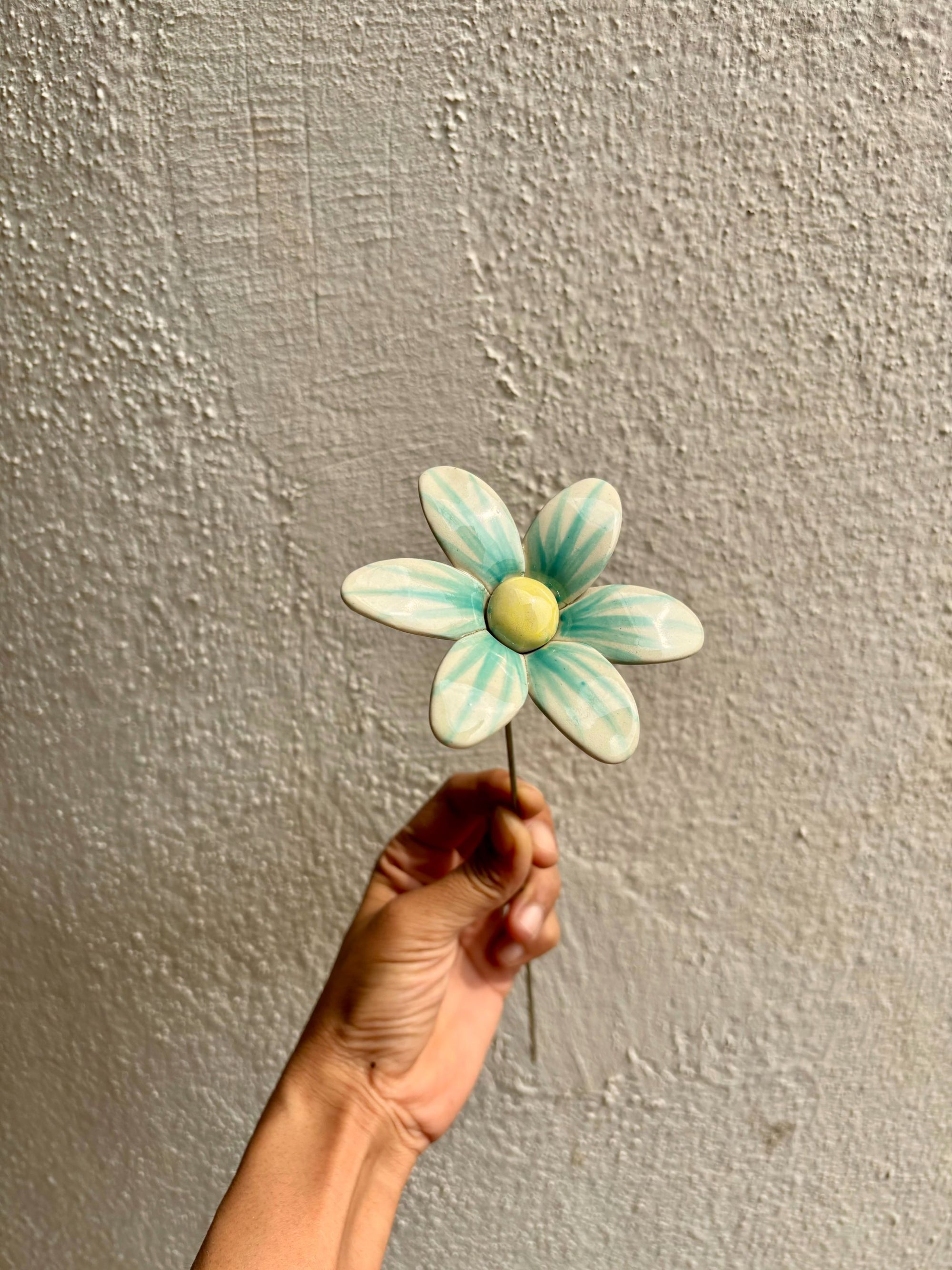 Brushed Daisy - Single Stem