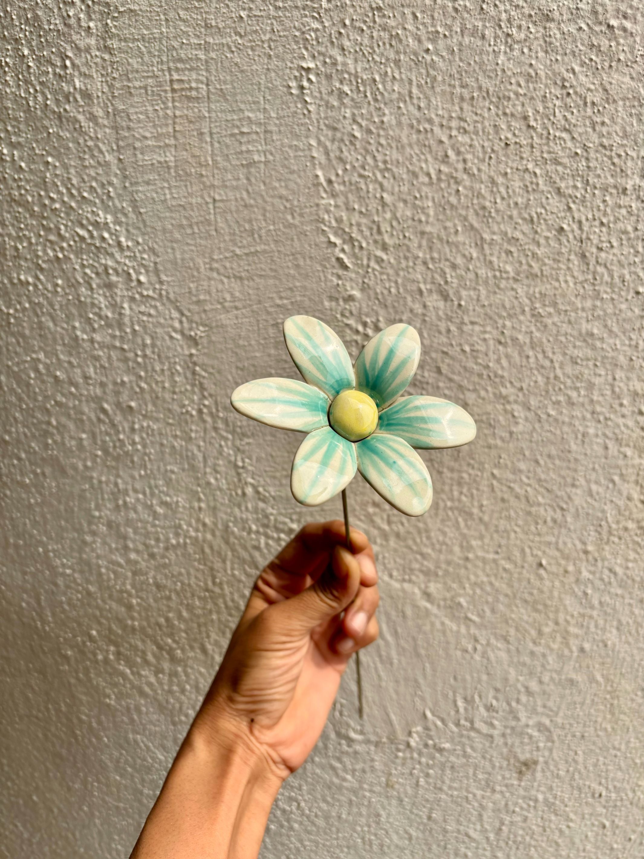 Brushed Daisy - Single Stem