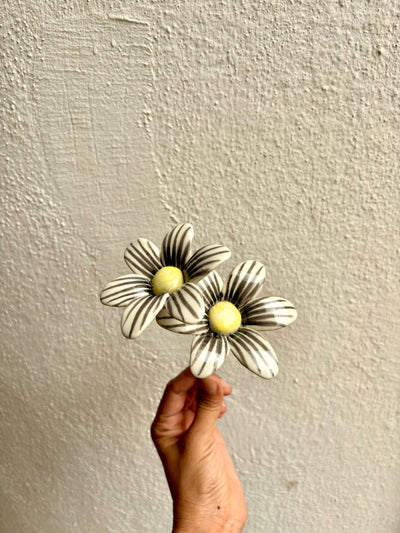 Brushed Daisy - Single Stem