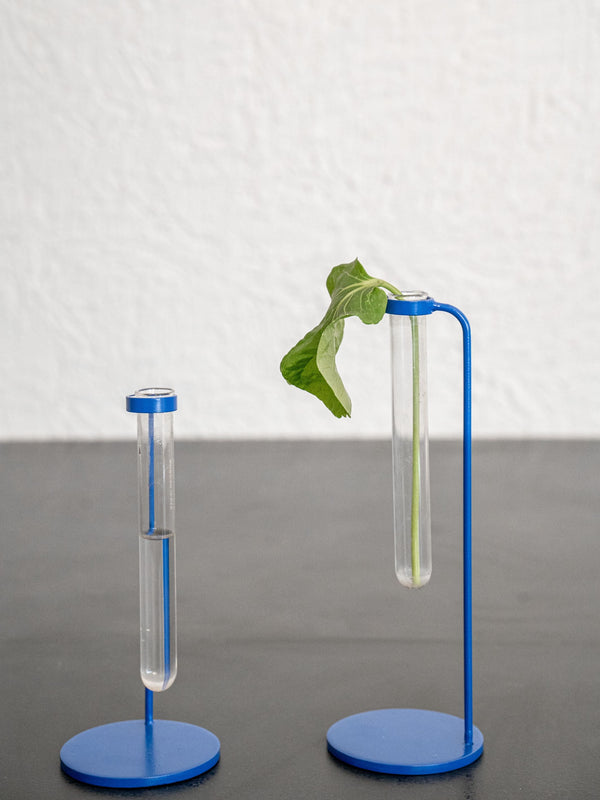 Bud Test Tube Vase