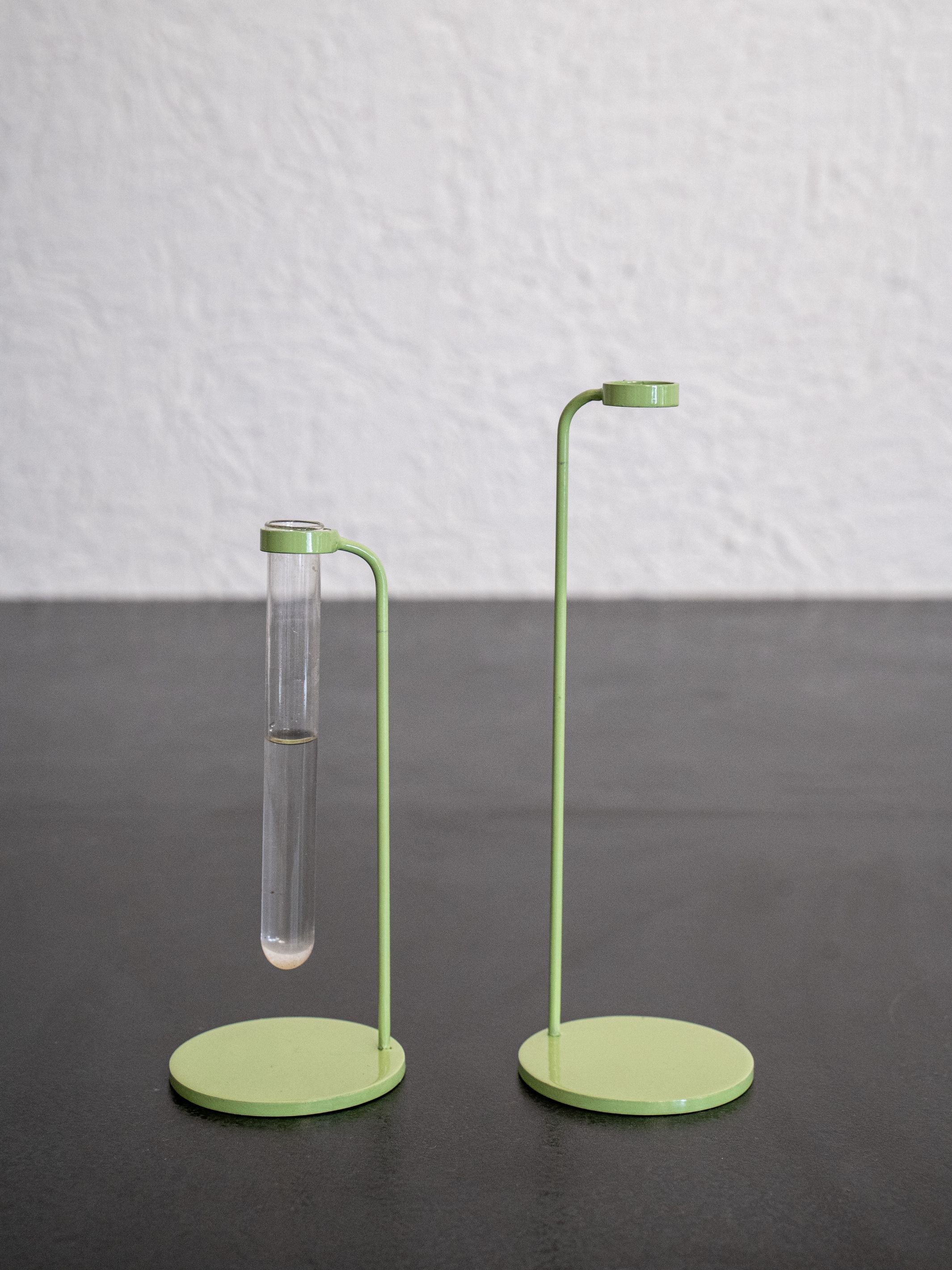 Bud Test Tube Vase