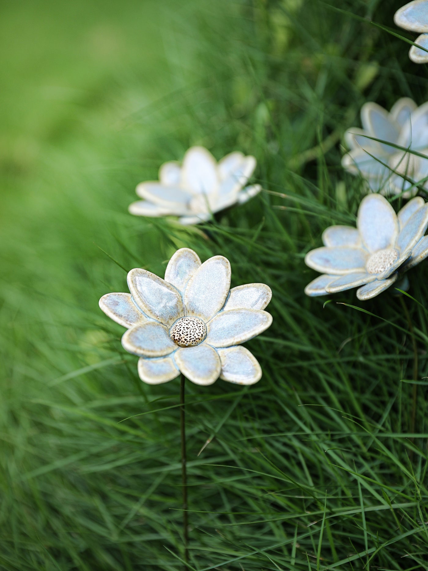 Butterfly Daisy - Single Flower Stem (Powder - Blue)