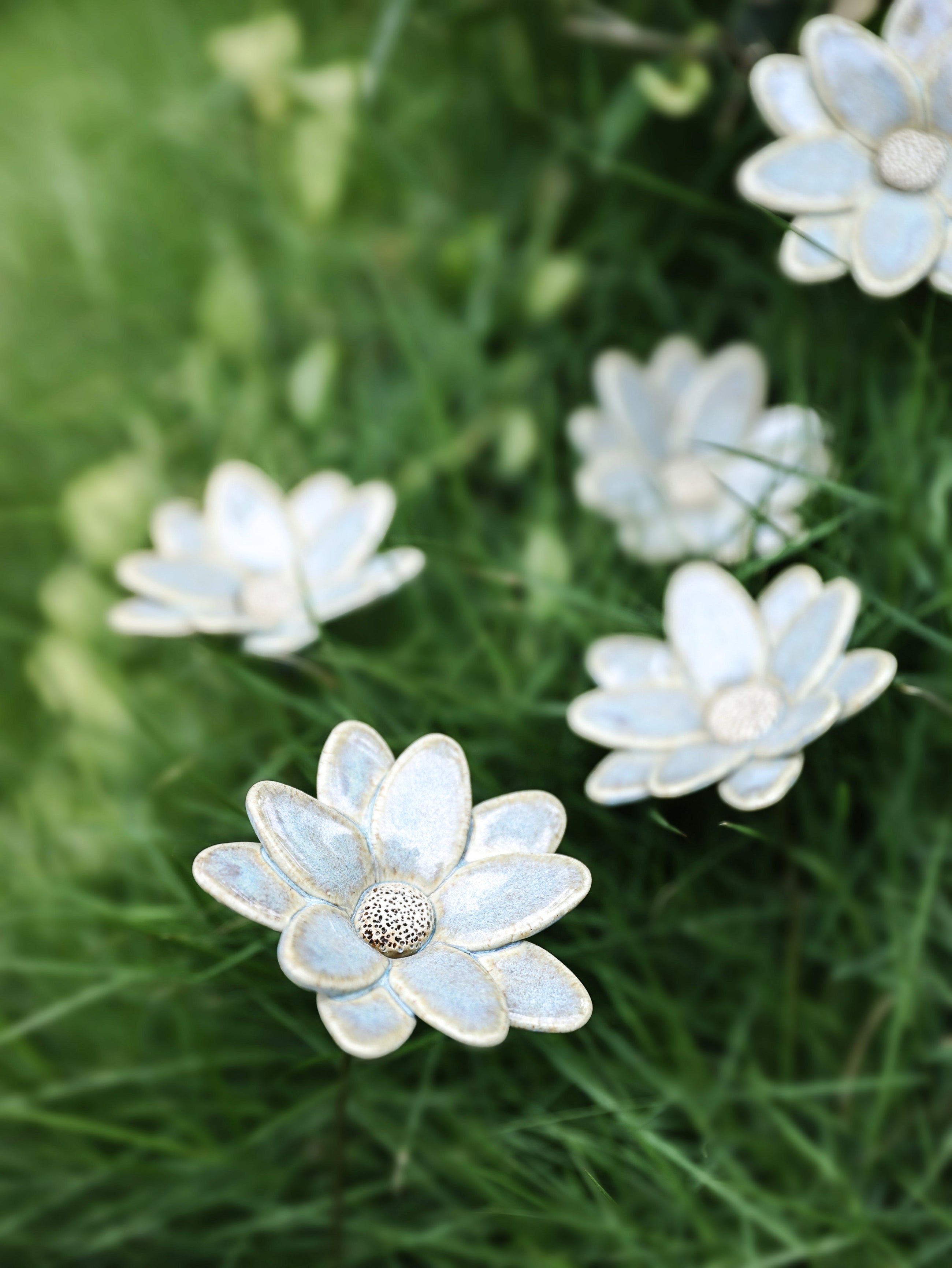 Butterfly Daisy - Single Flower Stem (Powder - Blue)