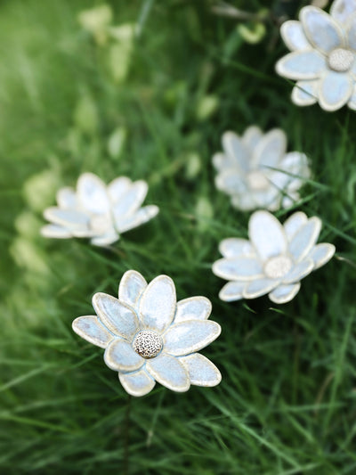Butterfly Daisy - Single Flower Stem (Powder - Blue)
