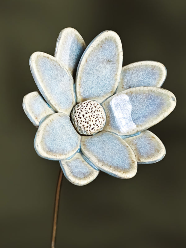 Butterfly Daisy - Single Flower Stem (Powder - Blue)