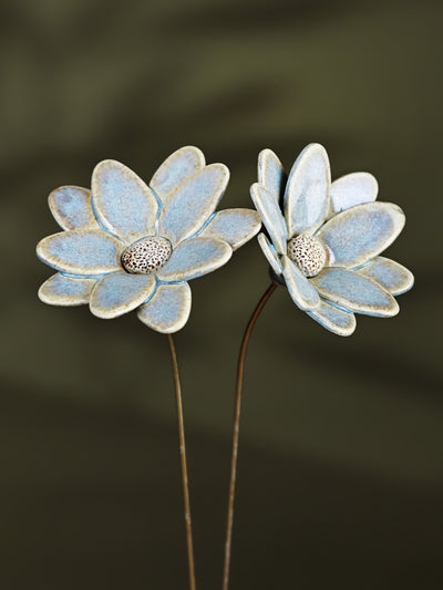 Butterfly Daisy - Single Flower Stem (Powder - Blue)