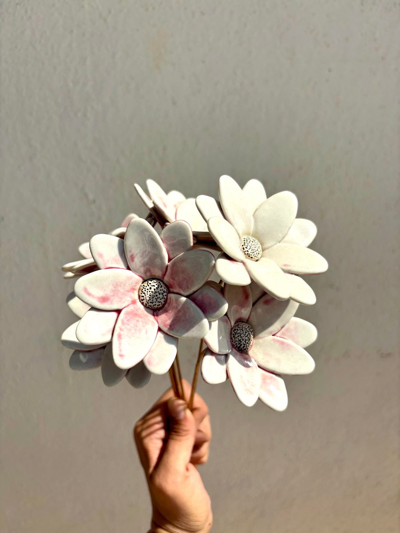 Butterfly Daisy - Single Flower Stem