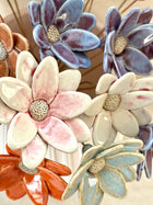 Butterfly Daisy - Single Flower Stem