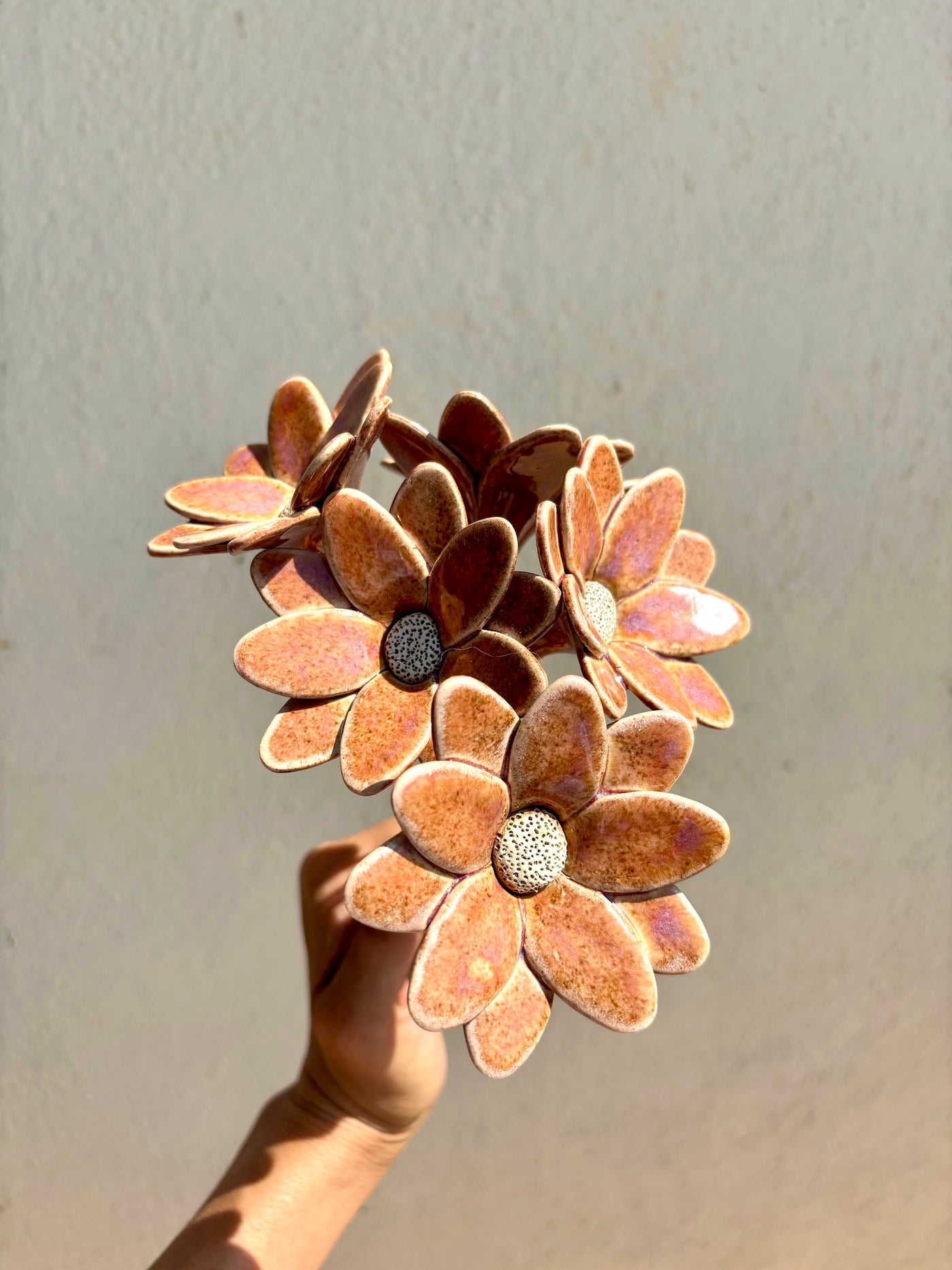 Butterfly Daisy - Single Flower Stem