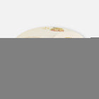 Limited Edition - Zenya -Coaster Platter