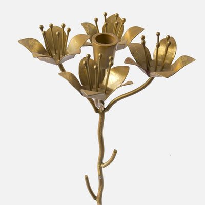 OMINI CANDLE STANDS