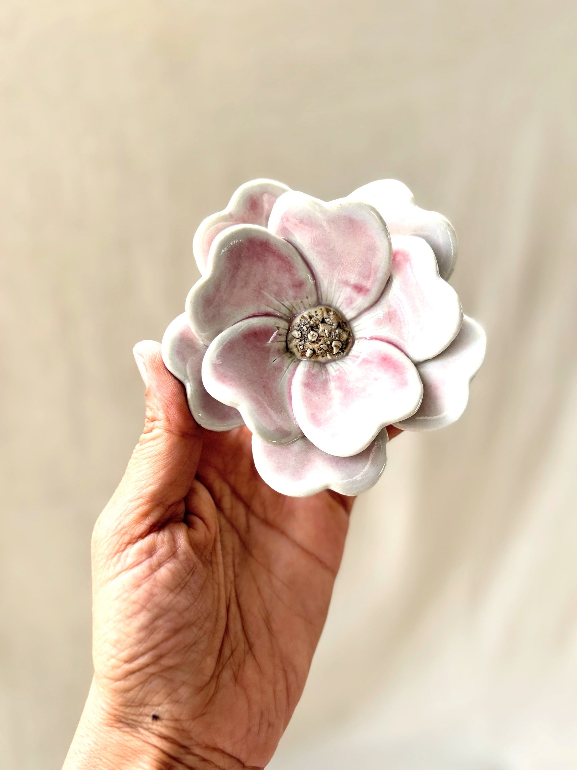 Blushing White Double Petalled Camellias - Single Flower Stem