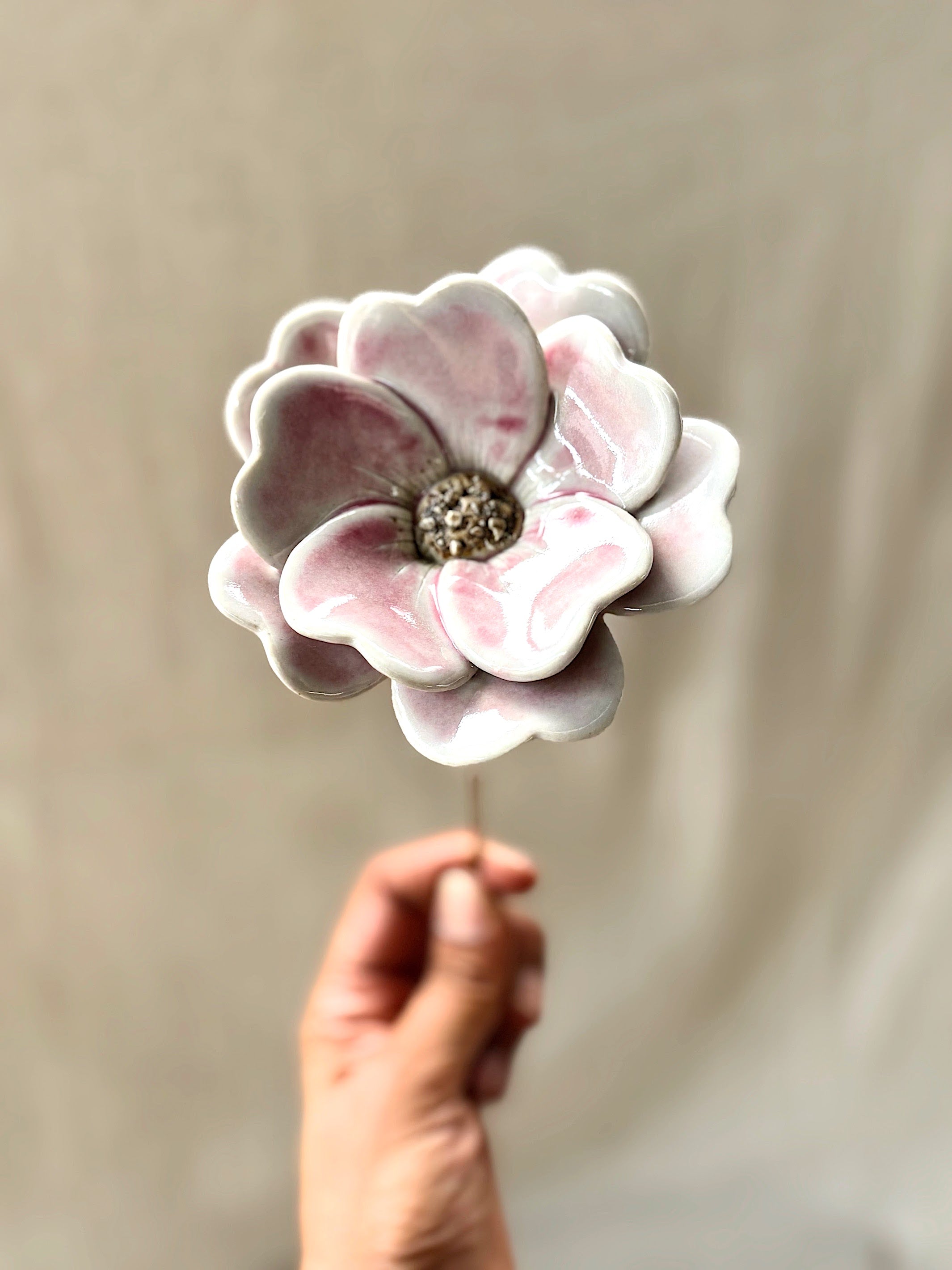 Blushing White Double Petalled Camellias - Single Flower Stem