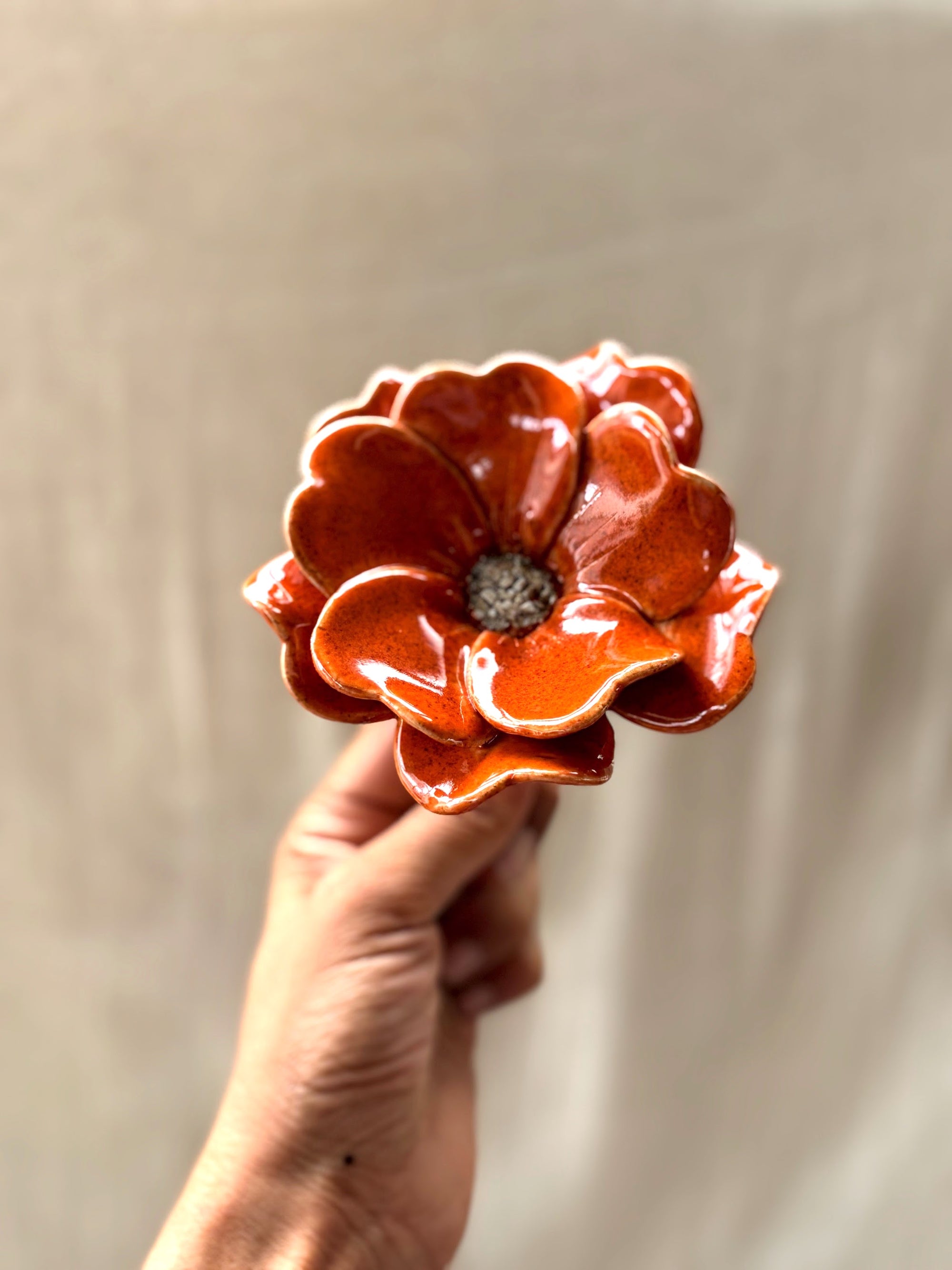 Blood Orange Double Petalled Camellias - Single Flower Stem