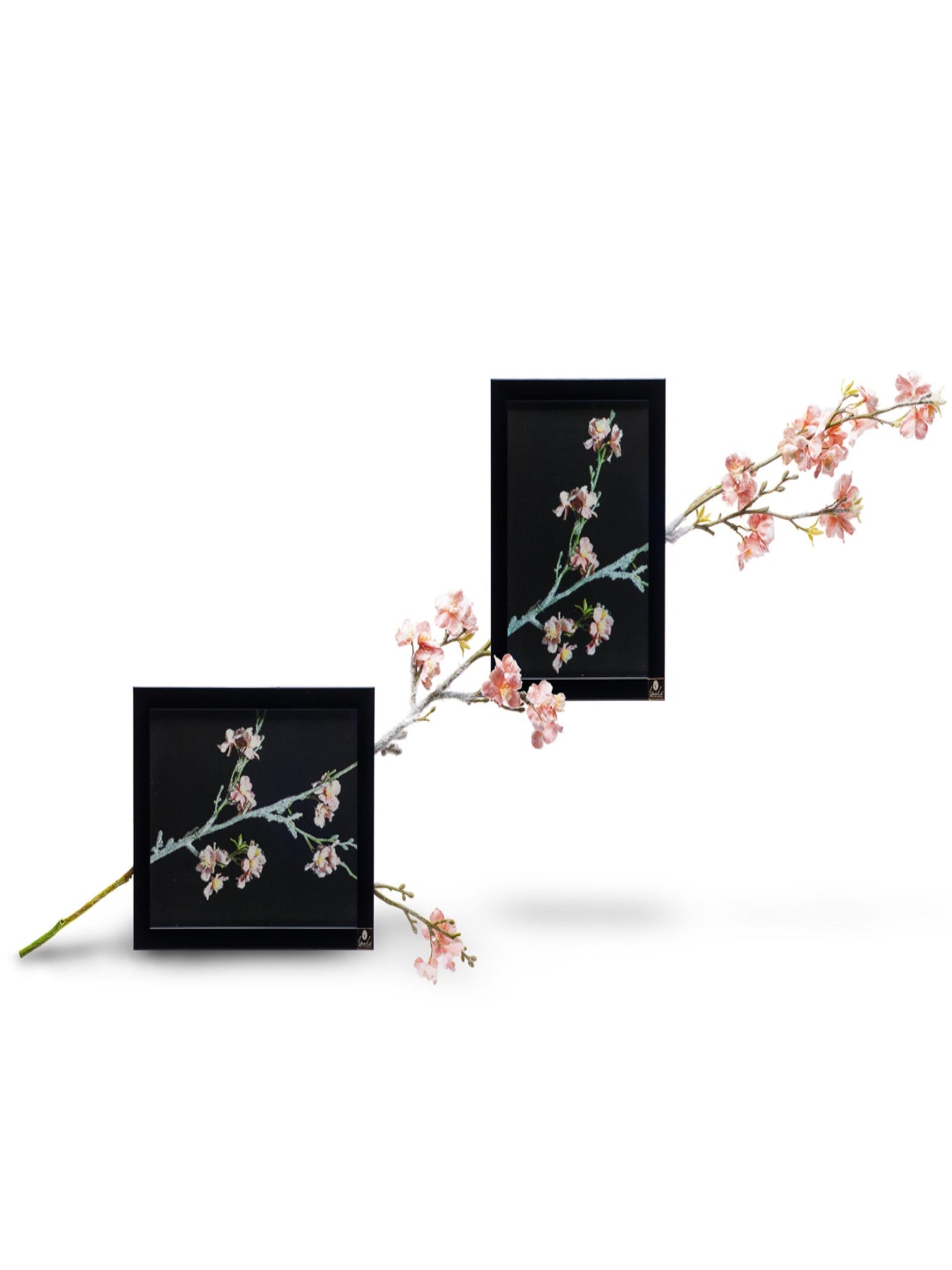 Cherry Blossom Wall Art