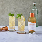 Cocktail Mixer - Classic Mojito (4 Serve)