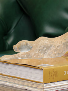 Clear Panther
