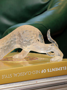 Clear Panther