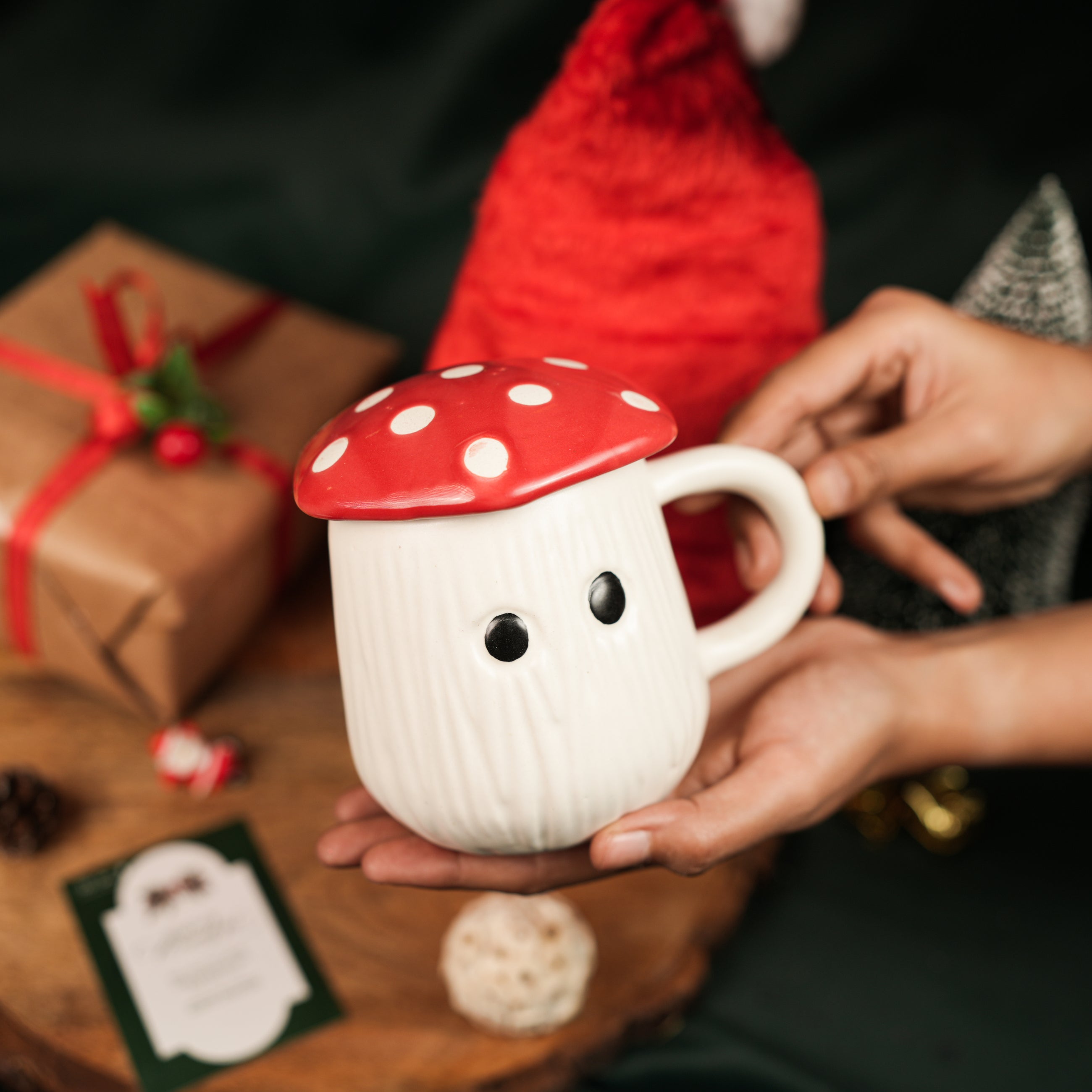 Jolly Shroom Mug Bundle