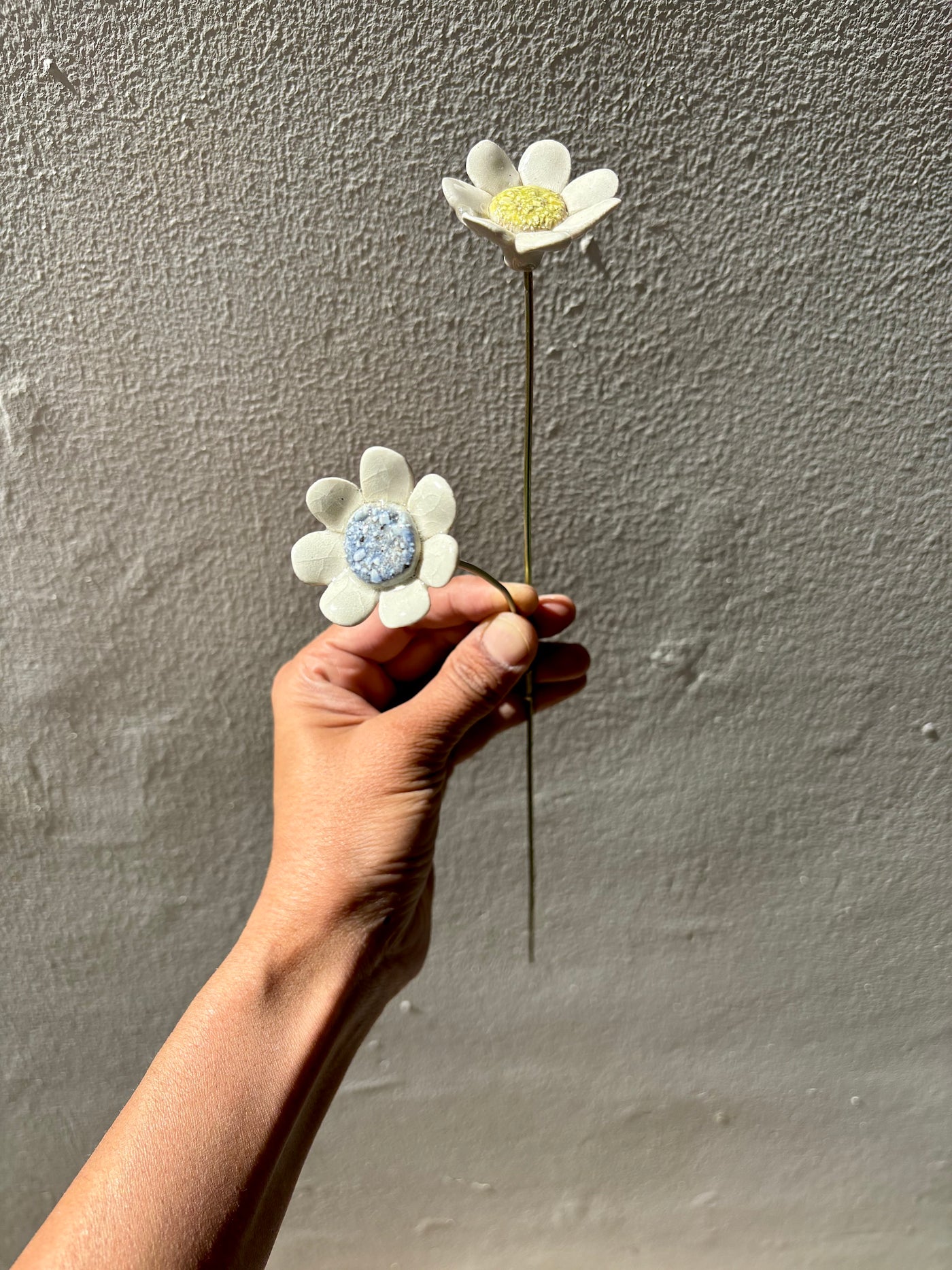 Colour Blocked wildflowers - double flower stem