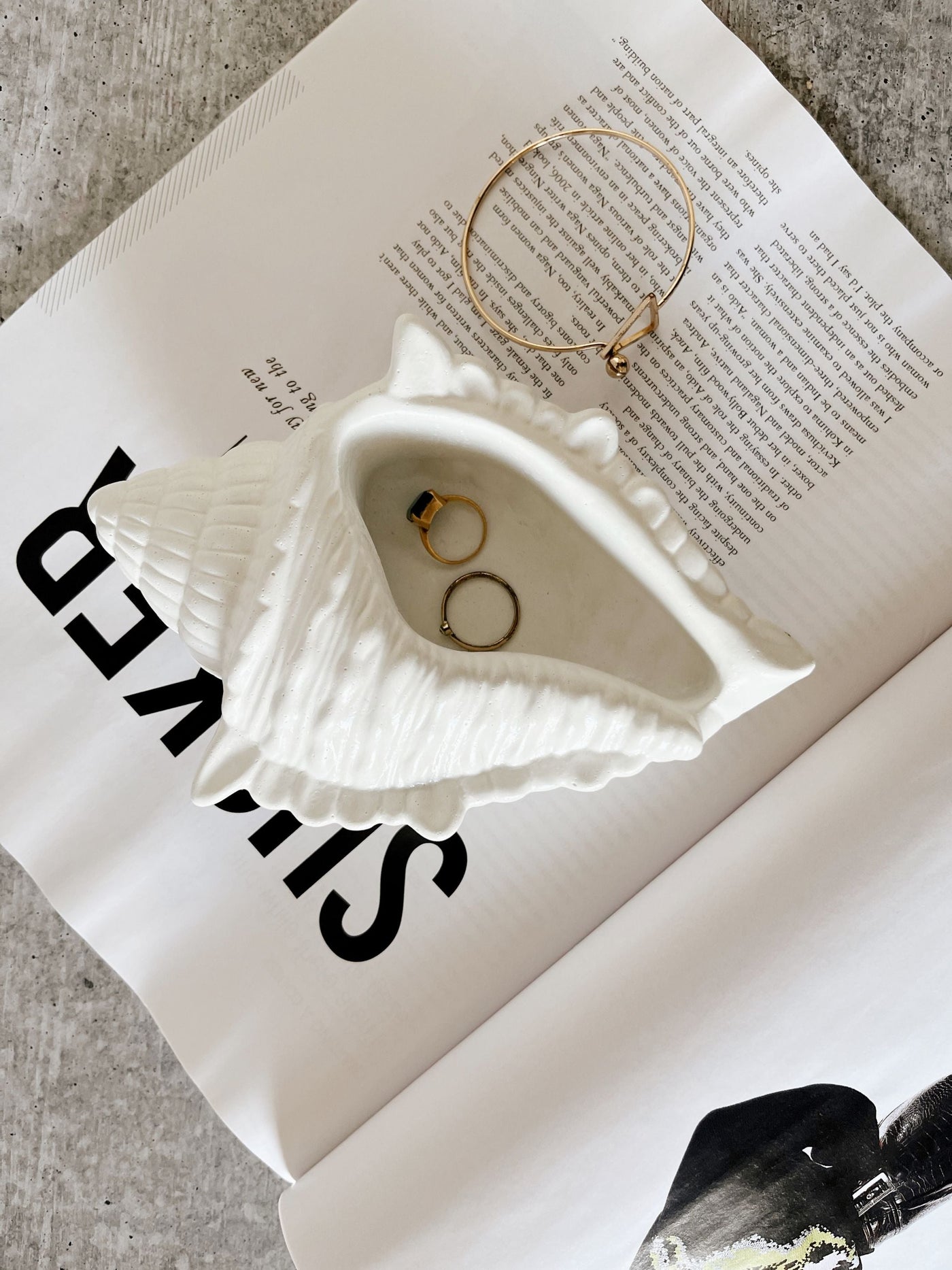 Concrete Conch