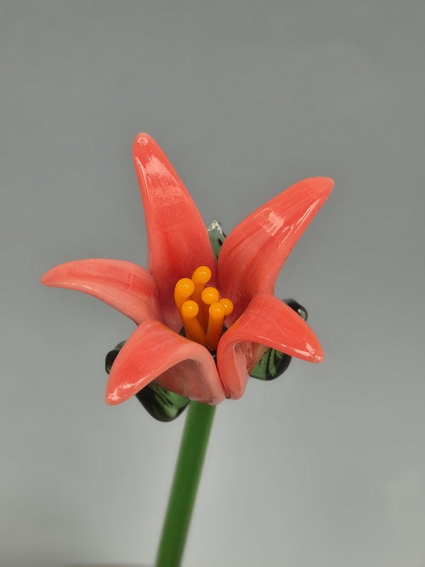 Tinsel Lily Glass Flower Stem - Coral