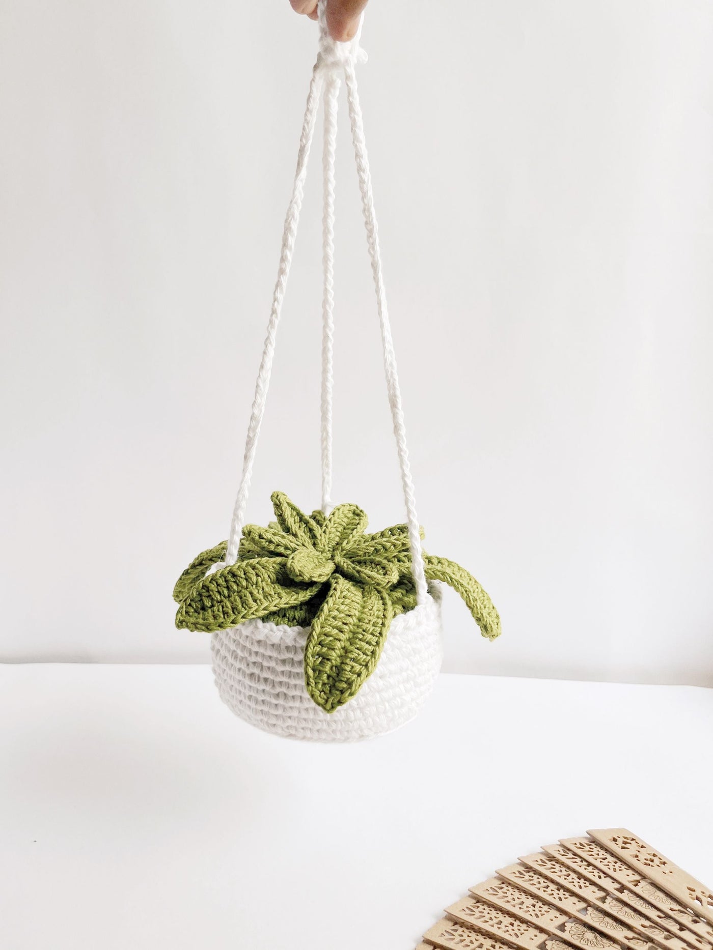 Crochet Succulent With String