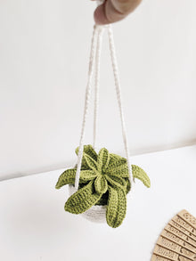 Crochet Succulent With String
