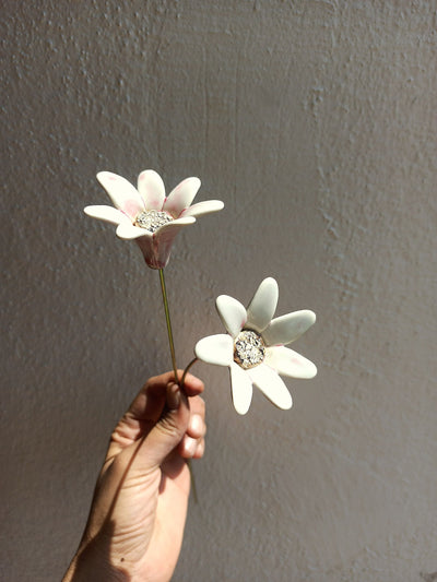 Dainty Daisies Pair