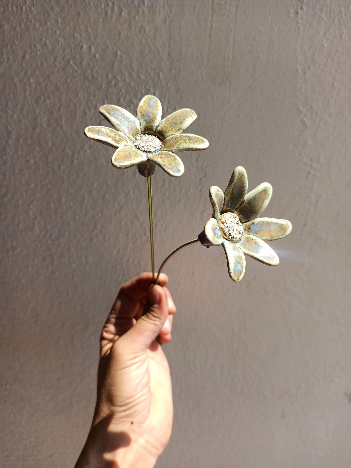 Dainty Daisies Pair