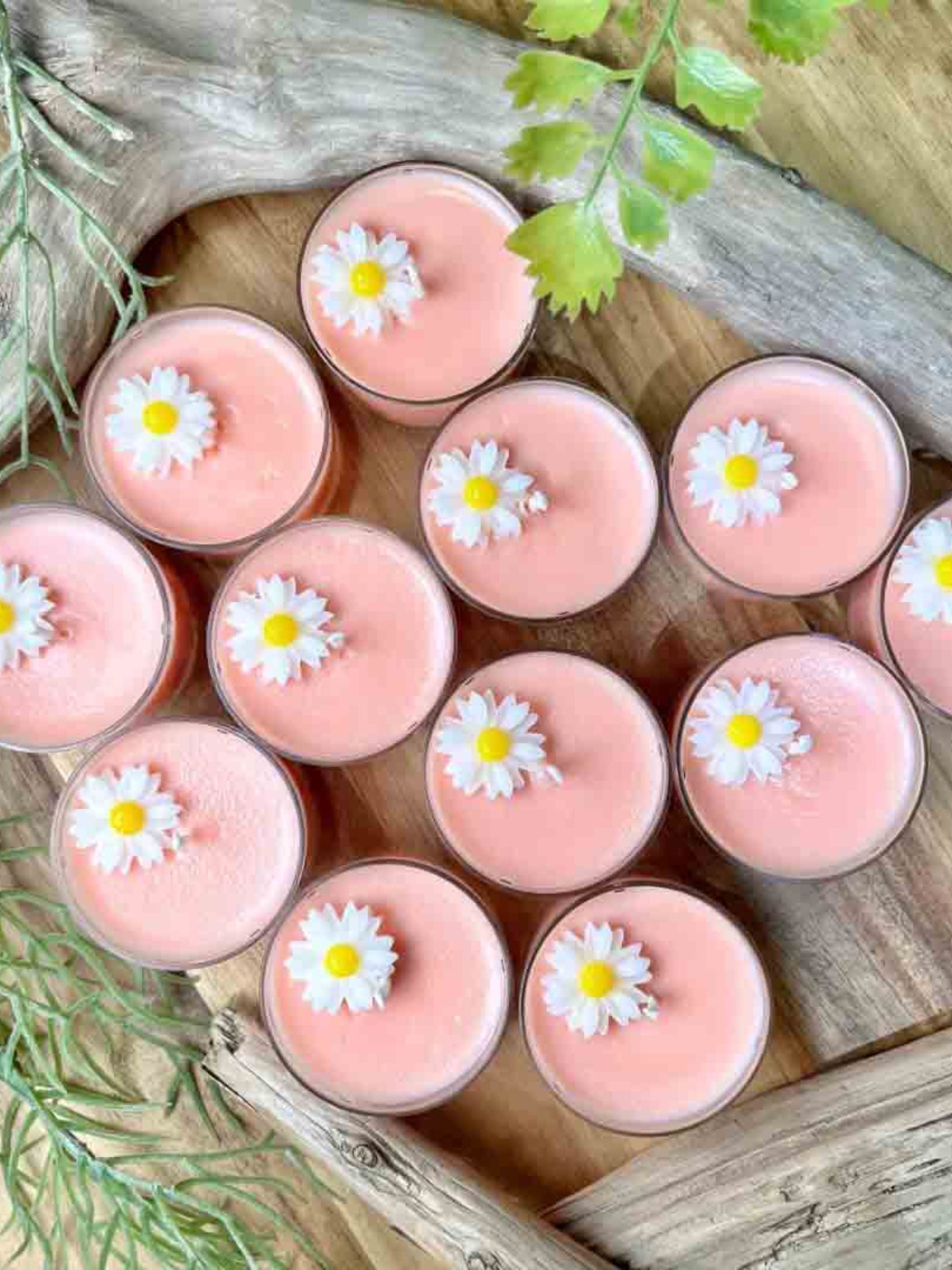 Tealight Candles Set Of 6 - White Daisy