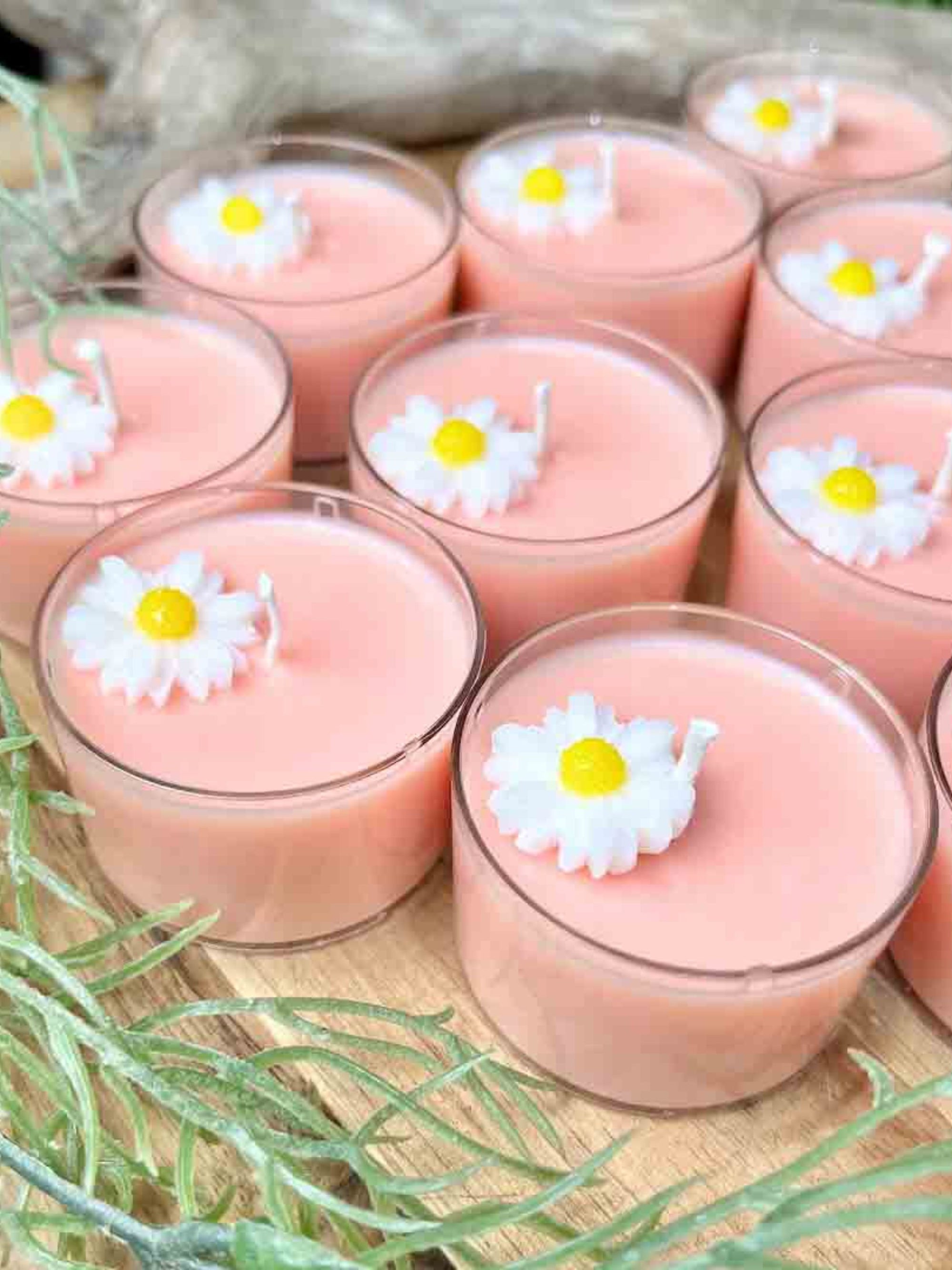 Tealight Candles Set Of 6 - White Daisy