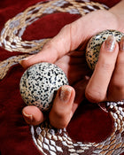 Dalmatian Jasper