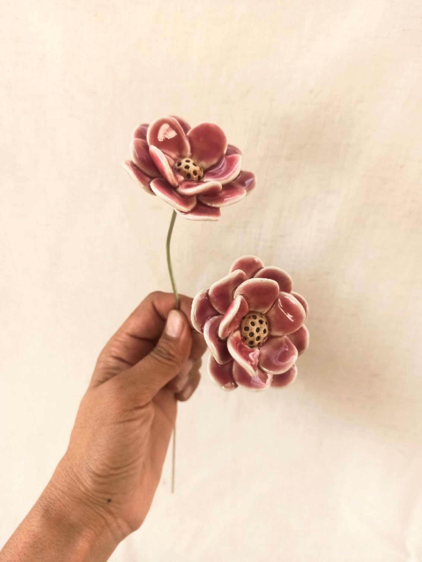 Dotted Triple Petalled Pair Of Zinnia