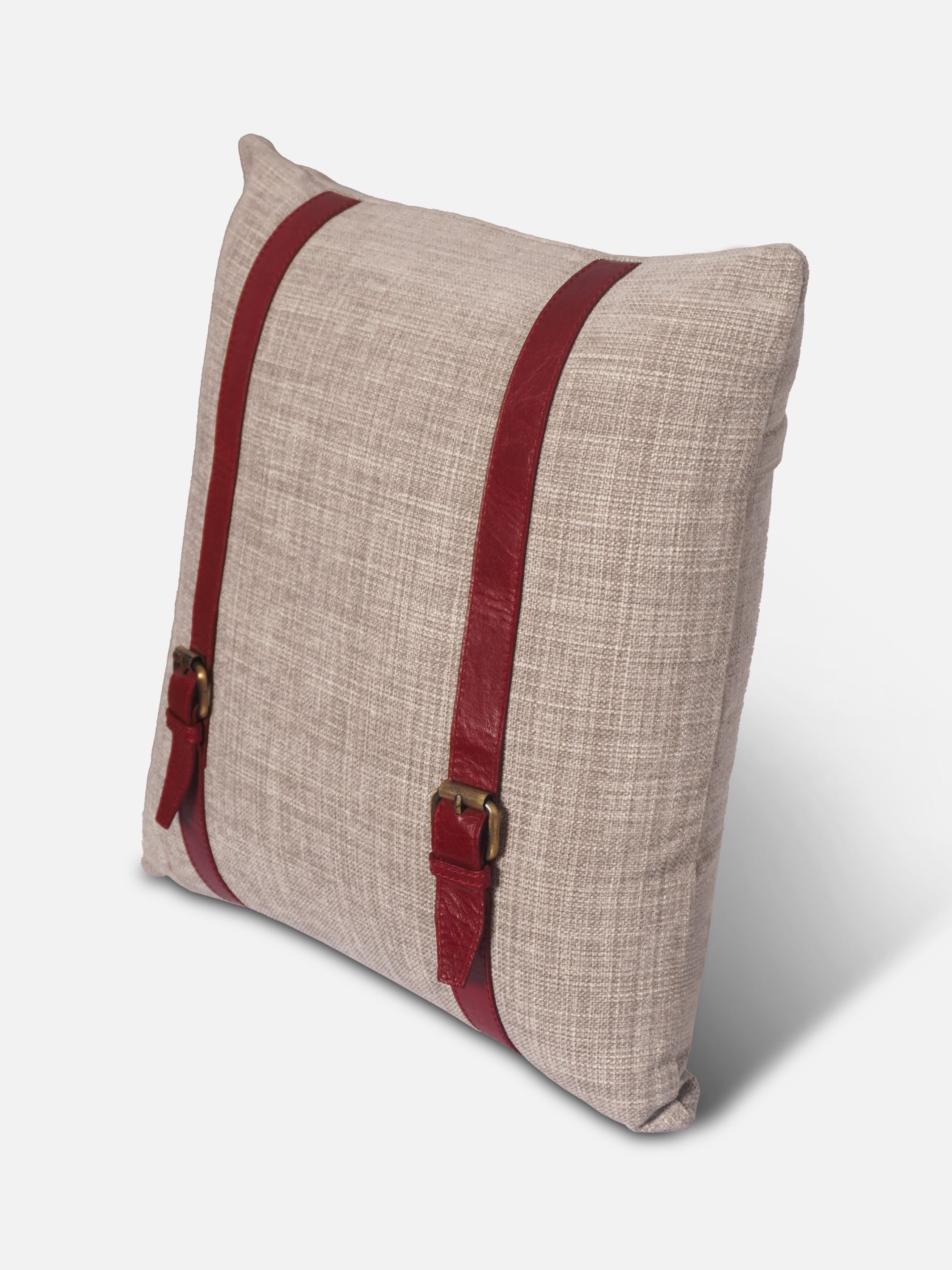 The Buckle Cushion