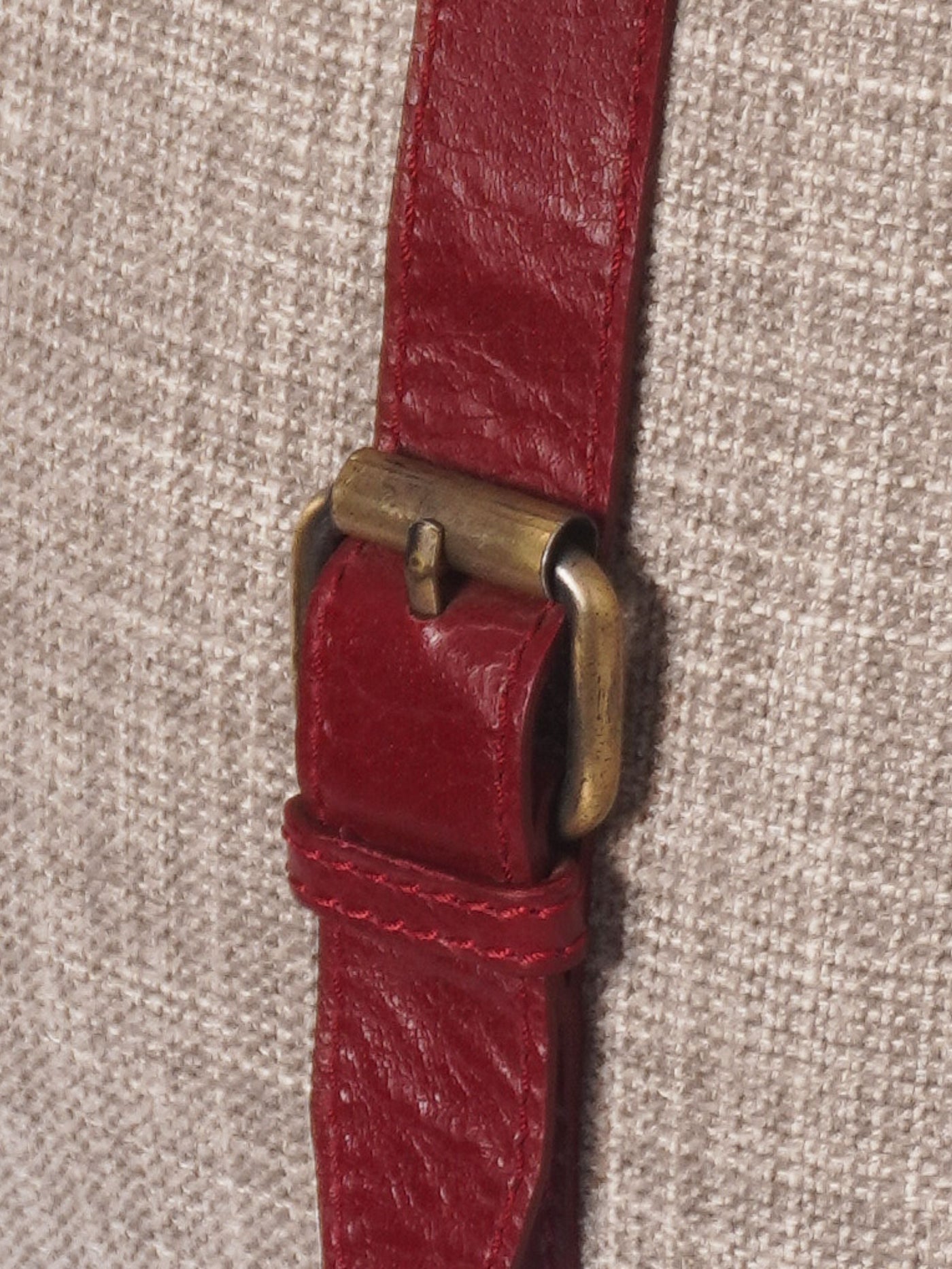 The Buckle Cushion