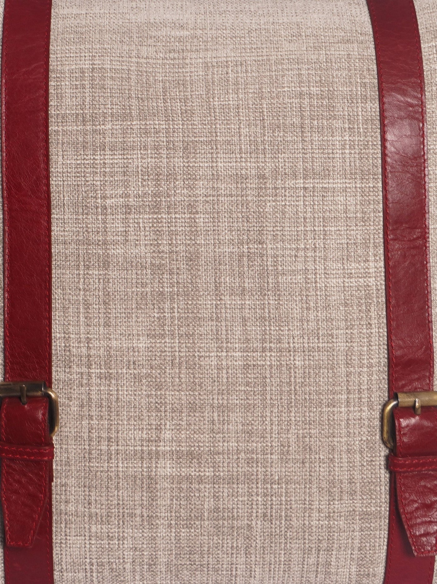 The Buckle Cushion