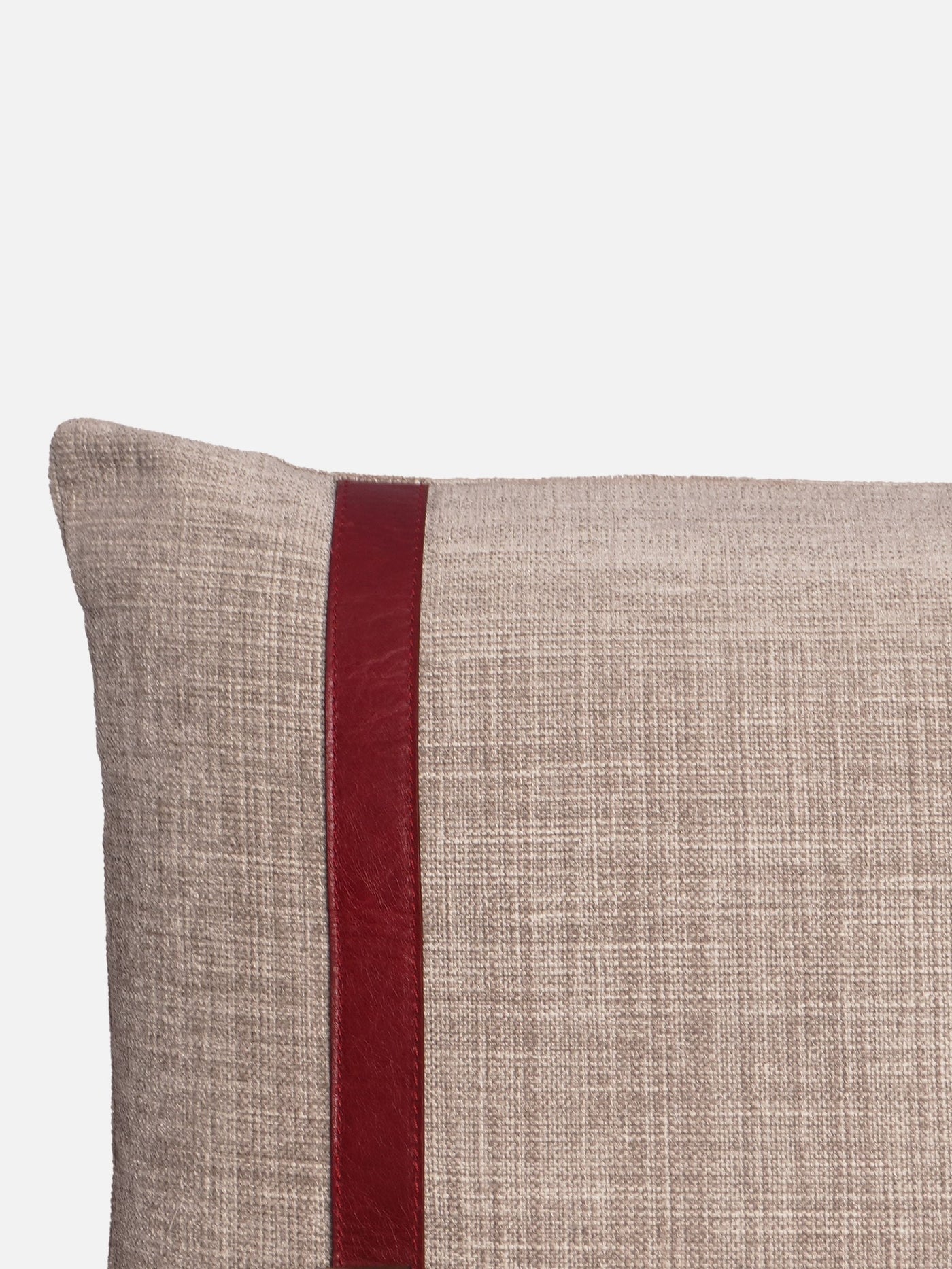 The Buckle Cushion