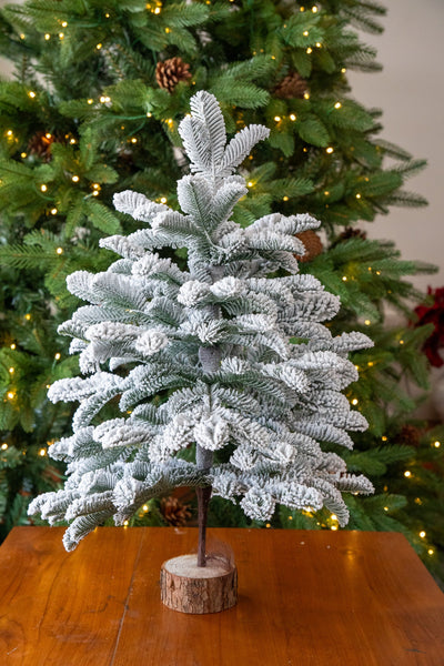 Frosted Mini Christmas Tree with Wooden Base (Variant 2)