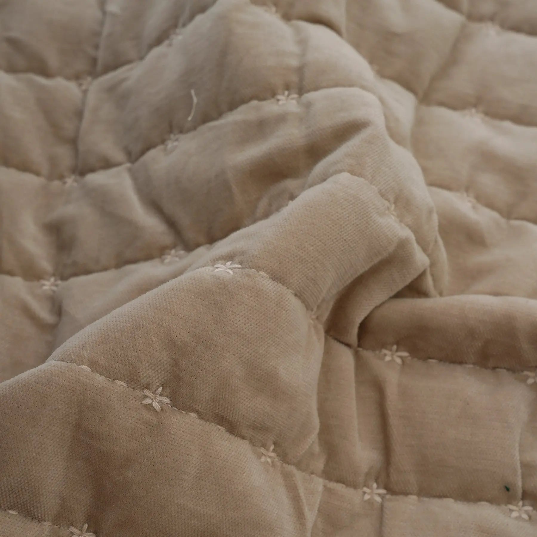 Quilt - Sitaraa