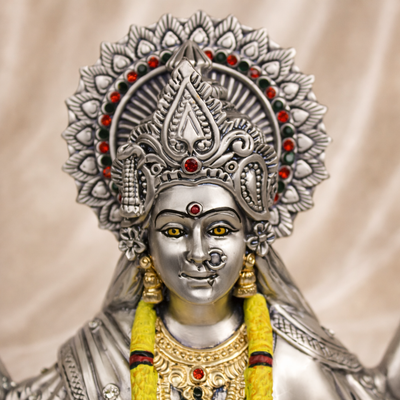 Maa Durga Idol on Lion