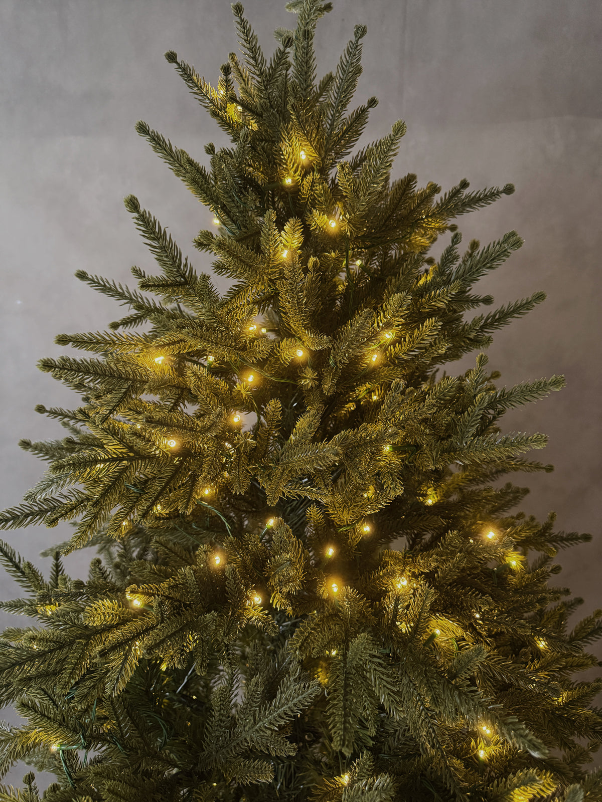 PE Christmas Tree with Lights-1