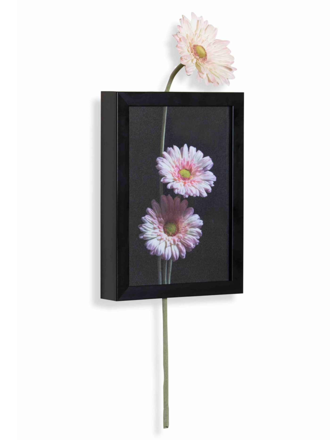 Gerbera Pink Vertical Wall Art