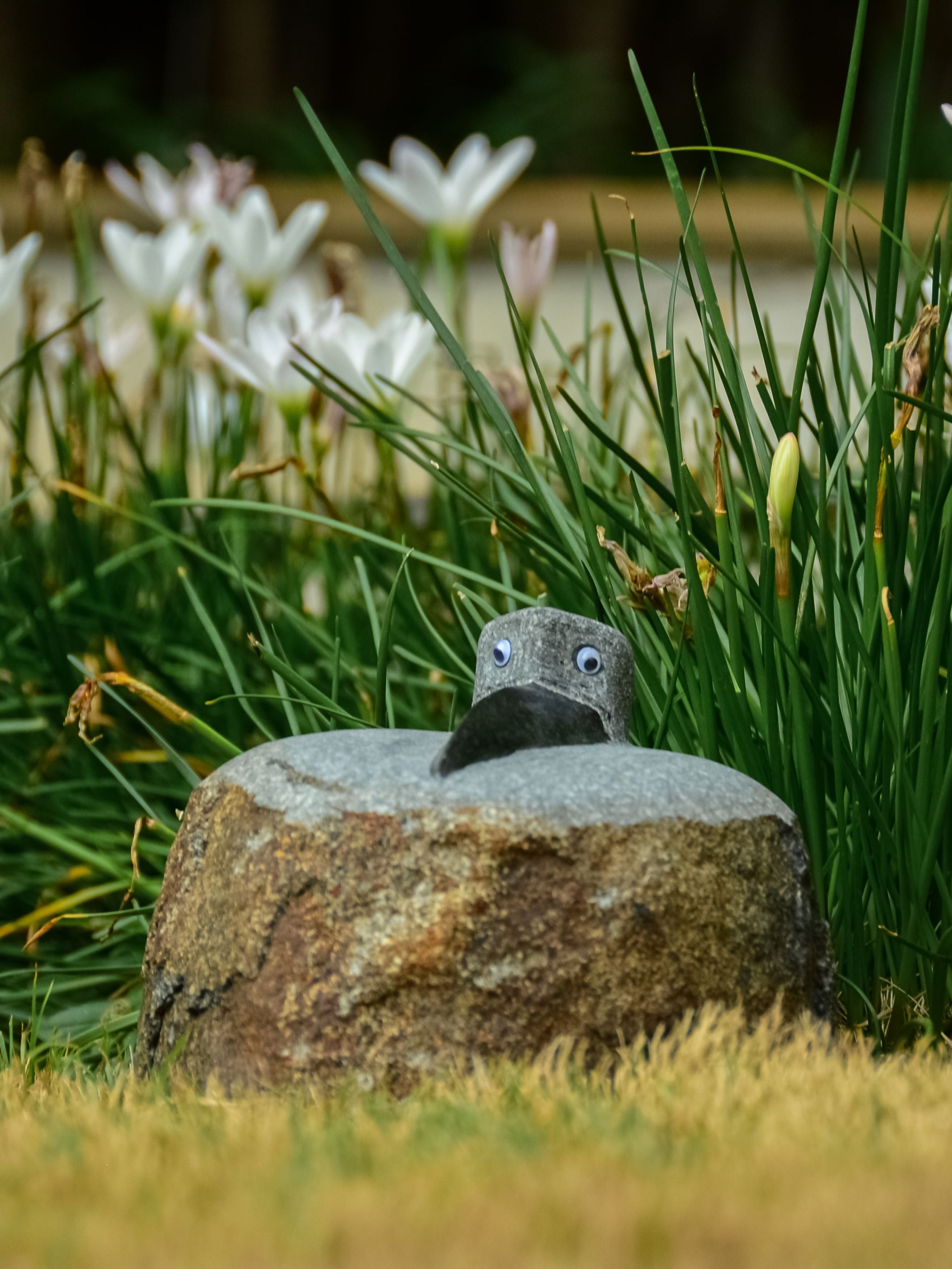 Granite Crow