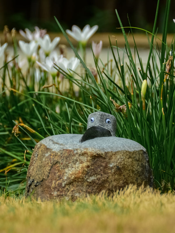 Granite Crow